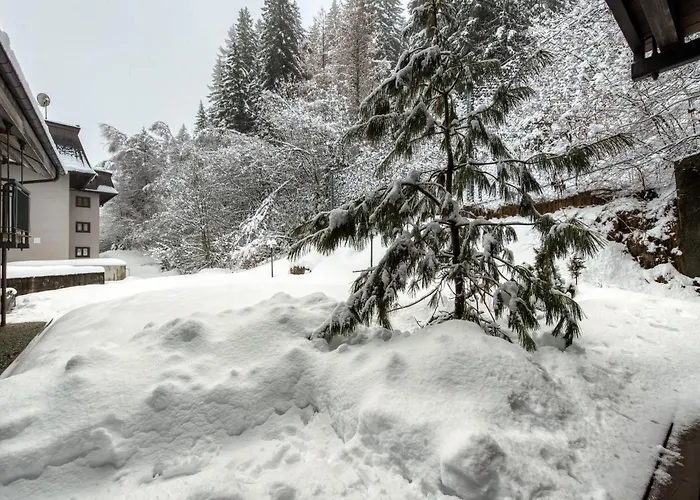 Modern Luxury Badi With Sauna - Happy * 霞慕尼